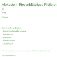 Alokasien | Riesenblättriges Pfeilblatt