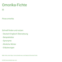 Omorika-Fichte