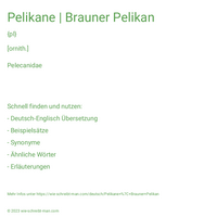 Pelikane | Brauner Pelikan