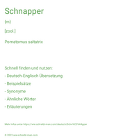 Schnapper