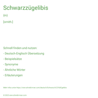 Schwarzzügelibis