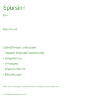 Spürsinn