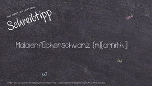 Wie schreibt man Malaienfächerschwanz? Bedeutung, Synonym, Antonym & Zitate.