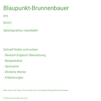 Blaupunkt-Brunnenbauer