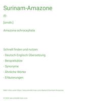 Surinam-Amazone