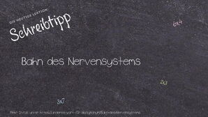 Wie schreibt man Bahn des Nervensystems? Bedeutung, Synonym, Antonym & Zitate.