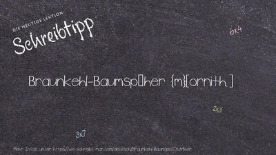 Schreibtipp Braunkehl-Baumspäher