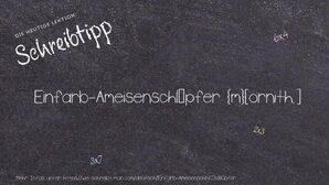 Wie schreibt man Einfarb-Ameisenschlüpfer? Bedeutung, Synonym, Antonym & Zitate.