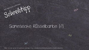 Wie schreibt man Siamesische Rüsselbarbe? Bedeutung, Synonym, Antonym & Zitate.