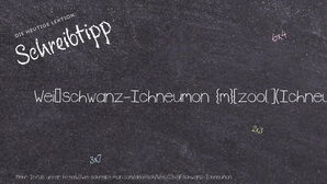 Wie schreibt man Weißschwanz-Ichneumon? Bedeutung, Synonym, Antonym & Zitate.