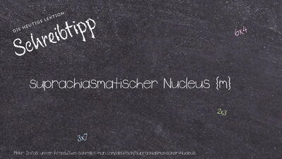 Schreibtipp suprachiasmatischer Nucleus