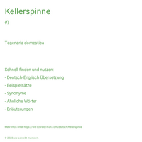 Kellerspinne