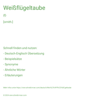 Weißflügeltaube