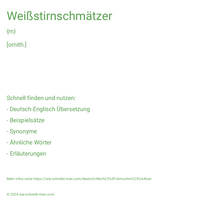 Weißstirnschmätzer