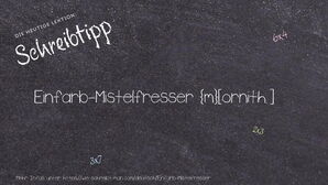 Wie schreibt man Einfarb-Mistelfresser? Bedeutung, Synonym, Antonym & Zitate.