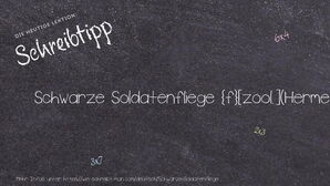 Wie schreibt man Schwarze Soldatenfliege? Bedeutung, Synonym, Antonym & Zitate.