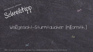 Wie schreibt man Weißgesicht-Sturmtaucher? Bedeutung, Synonym, Antonym & Zitate.