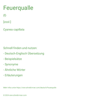 Feuerqualle