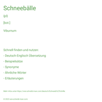 Schneebälle