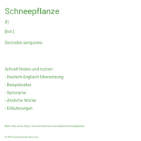 Schneepflanze