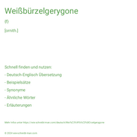 Weißbürzelgerygone