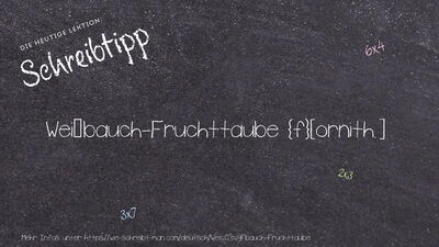 Schreibtipp Weißbauch-Fruchttaube