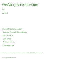 Weißbug-Ameisenvogel