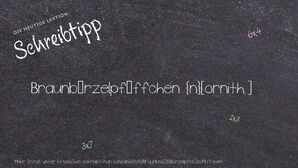 Wie schreibt man Braunbürzelpfäffchen? Bedeutung, Synonym, Antonym & Zitate.