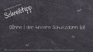 Wie schreibt man Dämme | der hintere Schutzdamm? Bedeutung, Synonym, Antonym & Zitate.