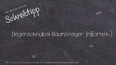 Schreibtipp Degenschnabel-Baumsteiger