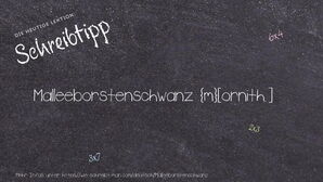 Wie schreibt man Malleeborstenschwanz? Bedeutung, Synonym, Antonym & Zitate.