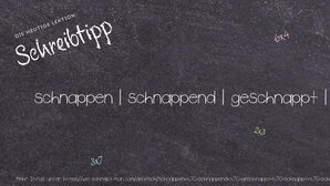 Wie schreibt man schnappen | schnappend | geschnappt | schnappt | schnappte? Bedeutung, Synonym, Antonym & Zitate.