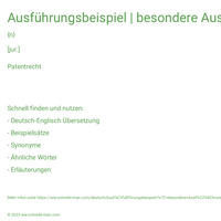 Ausführungsbeispiel | besondere Ausführungsart