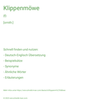 Klippenmöwe