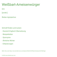 Weißbart-Ameisenwürger