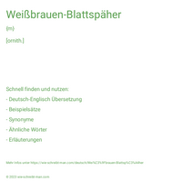 Weißbrauen-Blattspäher