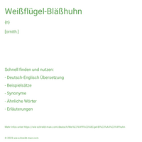 Weißflügel-Bläßhuhn