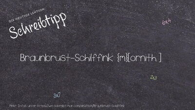 Schreibtipp Braunbrust-Schilffink