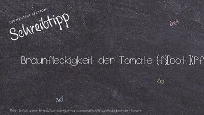 Schreibtipp Braunfleckigkeit der Tomate