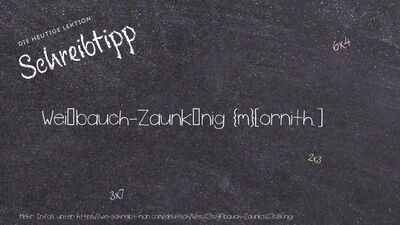 Schreibtipp Weißbauch-Zaunkönig