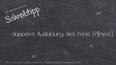 Schreibtipp doppelte Ausbildung des Penis