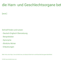 die Harn- und Geschlechtsorgane betreffend