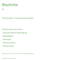 Blaufichte