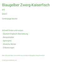 Blaugelber Zwerg-Kaiserfisch