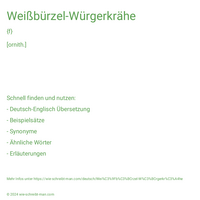 Weißbürzel-Würgerkrähe