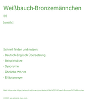 Weißbauch-Bronzemännchen