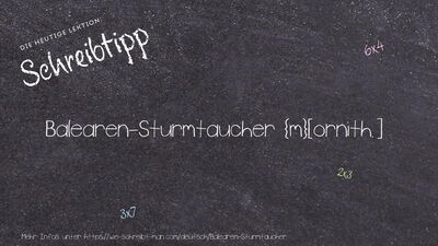 Schreibtipp Balearen-Sturmtaucher