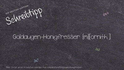 Schreibtipp Goldaugen-Honigfresser