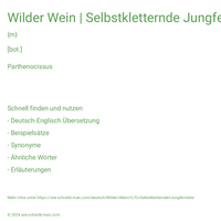 Wilder Wein | Selbstkletternde Jungfernrebe