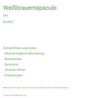 Weißbrauentapaculo